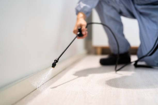 Licensed Termite Control service in Coffeyville, KS - Nex Pest Control