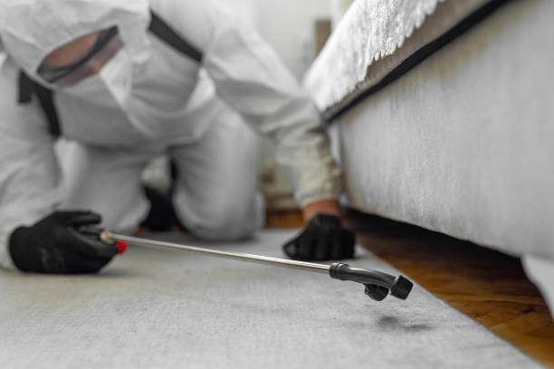 Professional Termite Control technician working in Coffeyville, KS