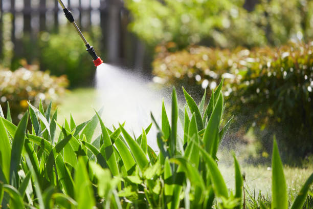 24/7 Emergency Termite Control experts in Coffeyville, KS