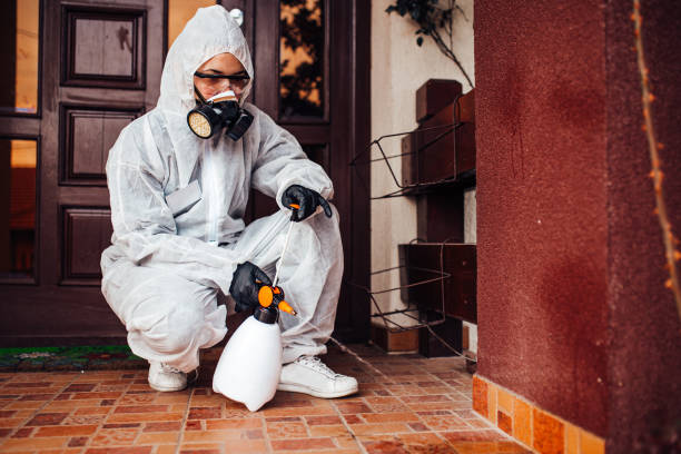 Reliable Termite Control contractor in Coffeyville, KS by Nex Pest Control